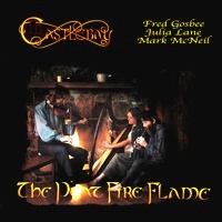 Peat Fire Flame